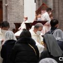 21/04/07 ‘한국 천주교회 통계 2020’ 발행 - 교적상 신자 5,923,300명, 총인구 대비 11.2% 이미지