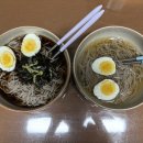 백프로식품 | 가성비 좋은 다한식품 백프로 순메밀면 활용 레시피 물냉면 모밀국수 후기