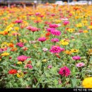 약수탕 중탕 옆(약수마을 옆, 수세식) | 경북 여행 청송 가볼만한곳 산소카페청송정원 송소고택