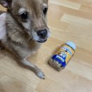 멍냥펀치 | 강아지 코코넛 간식 / 레디펫고 멍냥펀치 면역업 슬림코코넛 후기!