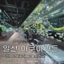 일중로 15번길 | 이색 수족관카페 일산 아쿠아가든 메뉴 입장료 주차 근처 맛집 방문후기