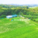 유리 태양광발전소 이미지