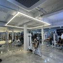 임스타핏 이미지