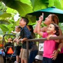 빈이농장 이미지