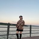 코디죤 이미지