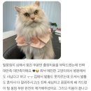 골골탬버린클럽 이미지