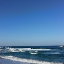 강성주 복싱클럽 이미지