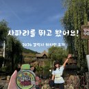 갤럭시 워치런 사파리 후기, 인생 첫 마라톤이 에버랜드 사파리라니!
