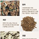 효령건강원