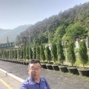 안양한증원 이미지