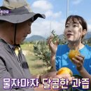 장성농장 이미지