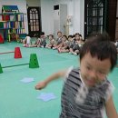 상상개나리 이미지