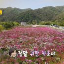 가래골농장 이미지