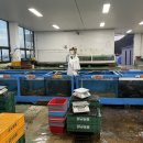 방포수산회타운 이미지