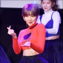 뿜뿜