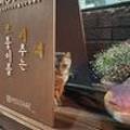 모비해(MOVIHAE)