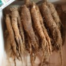 태백더덕직판장 이미지