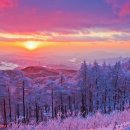 임학주유소 이미지