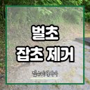 휴양지 산책로 제초 잡초 제거 산림 정비