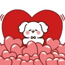 히플독 네이버블로그