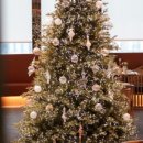 청담-144 이미지