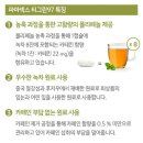 티그린 이미지