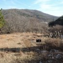 평택목장 이미지