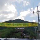 봉평고향막국수 이미지