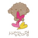 소울독(SOULDOG) 이미지