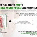 더바른 이미지