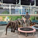 그림마을어린이집 | 파주 대형 키즈카페 헤이리마을 아이랑 가기 좋은 곳 아지동키즈카페