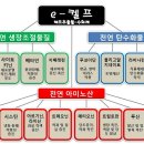 토마토 고품질을 위한 &#39;e-켈프&#39;(해조추출물) 활용방법 이미지