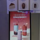 아토플래닛 | 역삼동카페, 강남카페, 24시간카페, 맛있는 음료와 디저트 그리고 분위기 까지 좋은 곳, 아토커피 역삼점