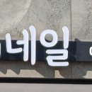 네일in수기