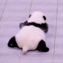 일진 경로당 이미지