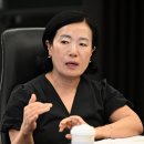 환경설계법인나무
