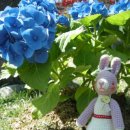 밀양 내마음애풍경 이미지