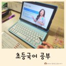 초등국어 공부 1등 밀크티로 초등 논술과 문해력 완성