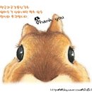튼실한 허벅지를 꿀벅지로 만들어줄 셀버너 벌그대 구매.