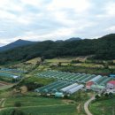 박종진 농장 이미지