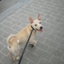 박순복동물병원 이미지