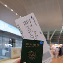 스카이팀 | 유럽여행 스카이팀 SAS항공 인천 코펜하겐 SK988 탑승 후기