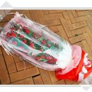 보라여성의원 이미지