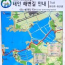 원항수산 - 통영시 새터길 42-6 | 태안반도 안면도 노지 차박 여행 (마검포 곰섬 드르니항 백사장항 태안해변길)
