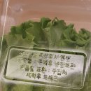 주식회사 엔씽 네이버블로그