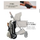 펫투고 | 헤이,펫 아발론 투고 후기🐶