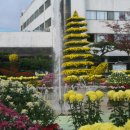 복지회관 앞 이미지