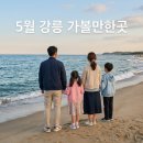 동해상사고속(주) | 5월 강릉 가볼만한곳 당일치기 가족 여행 코스 추천