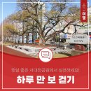 서대전광장(음악당) 공중화장실 | 하루 만 보 걷기, 햇살 좋은 서대전공원에서 실천하세요!
