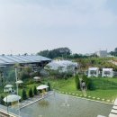 정들렌 | 전주 카페 추천 [망원동 티라미수 / 밥스터 / 아원 / 빈타이 / 리파로 / 정들렌/ 오늘여기 ]